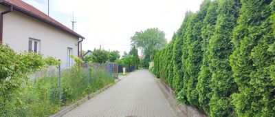 Opole Lubelskie, kościół Wniebowzięcia NMP ↔ Kolonia Opole [ul. Popijarska, Opole Lub.]