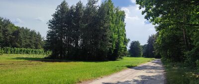 Wrzelowiec ↔ Kluczkowice-Osiedle