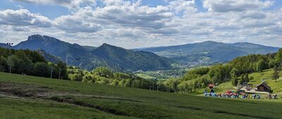 Palenica ↔ Szafranówka