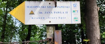 Wadowice, Aleja Wolności