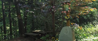 Przełęcz pod Łysą Górą