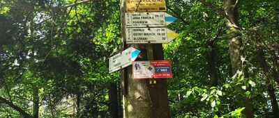 Przełęcz pod Łysą Górą