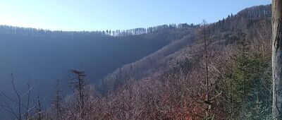 Jaworze ↔ Rozejście szlaków