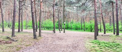 Pod Biakłem