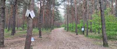 Pod Biakłem