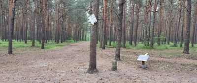 Pod Biakłem