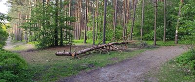 Rezerwat Sokole Góry, ścieżka przyrodnicza