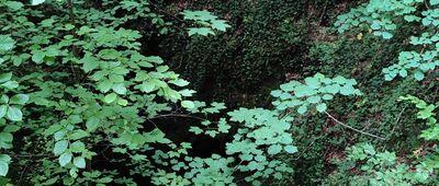 Sokole Góry, Pielgrzym ↔ Sokole Góry, Bonifacy