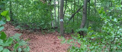 Sokole Góry, Bonifacy