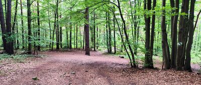 Rezerwat Sokole Góry, ścieżka przyrodnicza