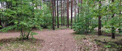 Rozejście szlaków