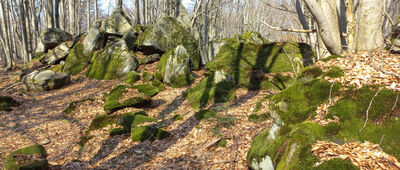 Rezerwat Kornuty ↔ Rezerwat Kornuty, wychodnie skalne [rezerwat Kornuty]