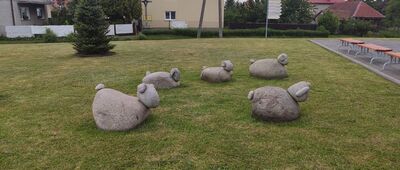 Szarów ↔ Szarów, ul. Kolejowa