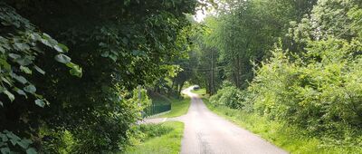 Moszczenica ↔ Chełm