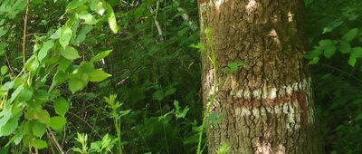 Rozejście szlaków [Rozejście szlaków]