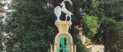 Brzesko, Plac Kupiecki ↔ Brzesko, ul. Browarna