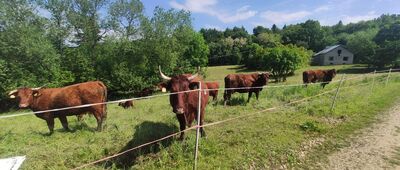 Rozejście szlaków ↔ Brzeźnica [Pierwsze część na szlaku]