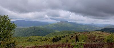 Bukowe Berdo, odejście żółtego szlaku