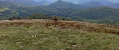 Tarnica [Widoki z Tarnicy]