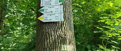 Modła, stacja kolejowa ↔ Patoka, rozejście szlaków