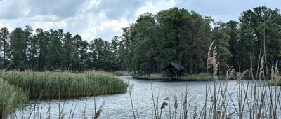 Patoka, rozejście szlaków