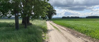 Rozejście szlaków ↔ Osła