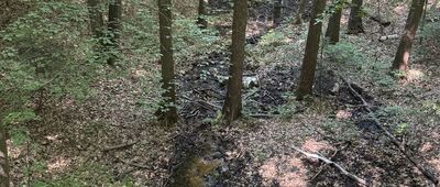 Droga Kakonińska ↔ Słupski Weksel