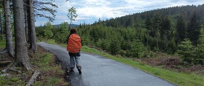 Wielkie Rozdroże ↔ Pod Czernicą