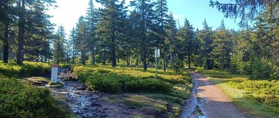 Przy przełęczy Stříbrnická