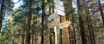 Głęboka Jama