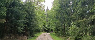 Leśniczówka Kamienica ↔ Rozdroże pod Porębkiem