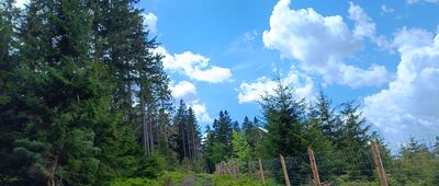 Pod Jelenią Kopą ↔ Pod Jelenią Kopą, Rezerwat Nowa Morawa