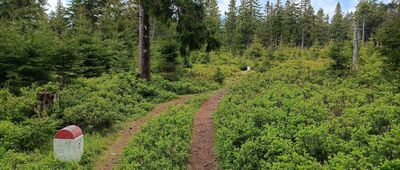 Rude Krzyże ↔ Pod Jelenią Kopą