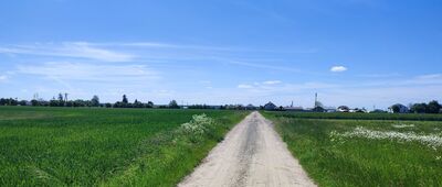 Blizocin ↔ Wola Blizocka