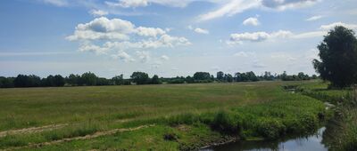 Węgielce ↔ Ostrów [Ciek wodny o nazwie Minina]