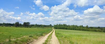 Drewnik ↔ Węgielce