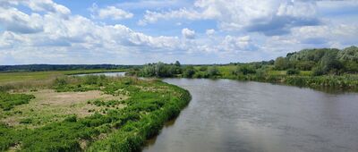 Jeziorzany ↔ Drewnik [rzeka Wieprz]