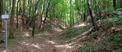 Suchogórski Labirynt Skalny