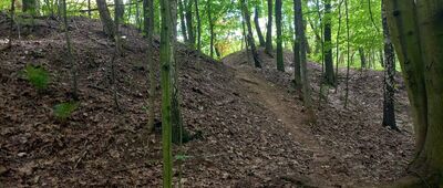 Rozejście szlaków ↔ Doły Piekarskie