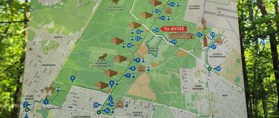 Warszawa, ul. Radiowa