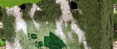 Warszawa, ul. Radiowa [Oznaczenie ścieżki przyrodniczo-dydaktycznej "Śladami Łosia"]