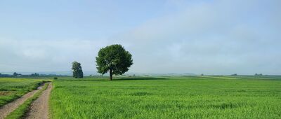 Popkowice ↔ Leszczyna