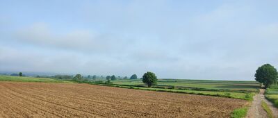 Popkowice ↔ Leszczyna