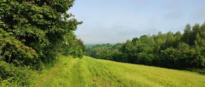 Popkowice ↔ Leszczyna