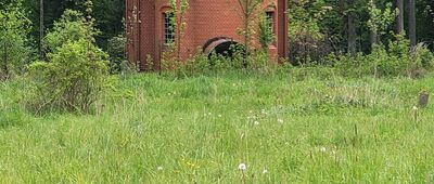 Sokołowsko, ul. Unisławska