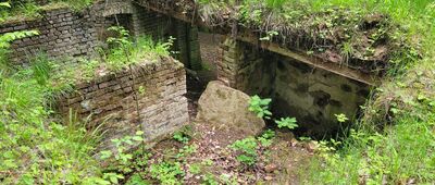 Sokołowsko, skrzyżowanie ↔ Bukowiec