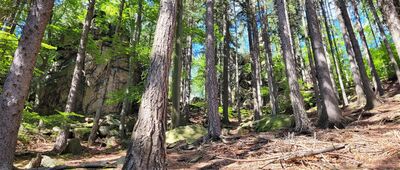 Pod Sokolikiem ↔ Sokolik