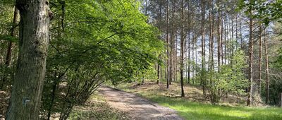 Rozejście szlaków ↔ Boguszyn