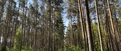 Rozejście szlaków ↔ Rozejście szlaków