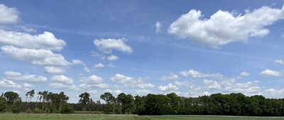 Jezierzyce Kościelne ↔ Krzycko Wielkie